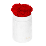 Flower Box Wieczne Róże - S - białe