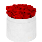 Flower Box Wieczne Róże - M - białe