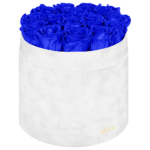 Flower Box Wieczne Róże - L - białe