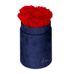 Flower Box Wieczne Róże - S - granatowe