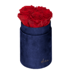 Flower Box Wieczne Róże - S - granatowe