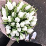 Bukiet białe tulipany